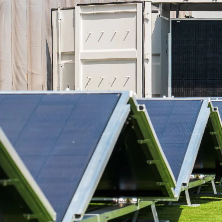 2025 Photovoltaic Panel Installation in Fish Pond